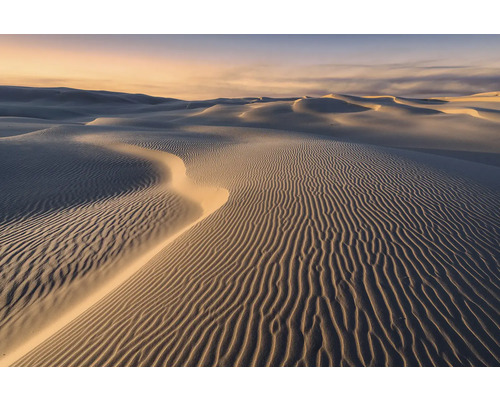Leinwandbild Sand Storm 90x60 cm