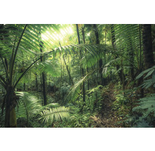 Leinwandbild Jungleflair 90x60 cm