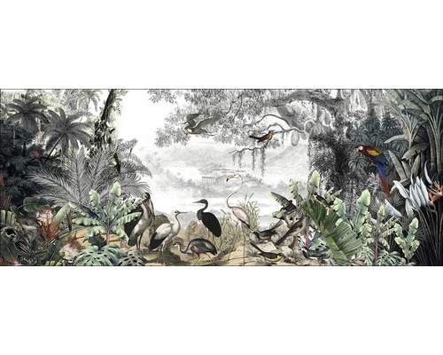Glasbild Birds In The Jungle II 80x30 cm