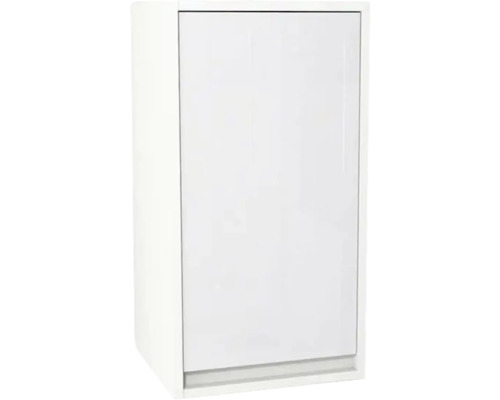 Hängeschrank mit 1 Tür Devo Cristal 2.0 rechts BxHxT 40x76x35 cm alpine white/signal white glass