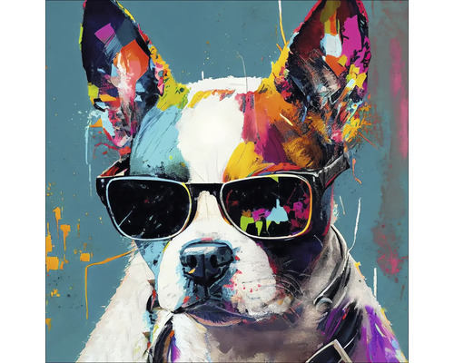 Glasbild Dog With Sunglasses I 50x50 cm