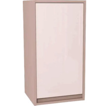Badezimmerschrank mit einer Tür