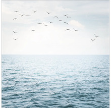 Ein Schwarm Vögel über dem Meer