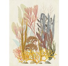Leinwandbild Coral Aqua 30x40 cm