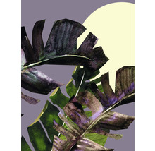 Illustration von Bananenblättern