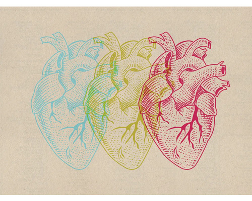 Leinwandbild Heart Variants 40x30 cm