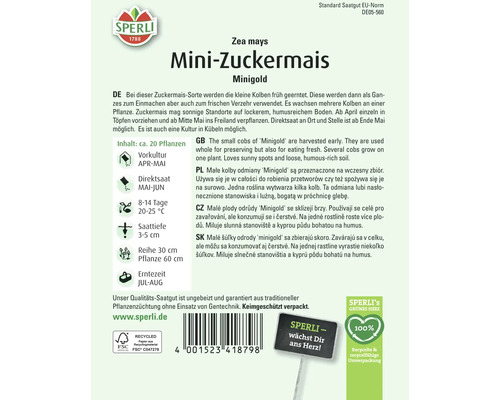 Samenpackung Mini-Zuckermais