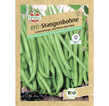 Bio Stangenbohnen Samenpackung