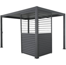 Lamellenwand Mirador Classic, Deluxe Plus 400 123 x 235 cm anthrazit