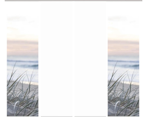 Strandlandschaft mit Meer und Gras