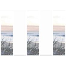 Strandmotiv mit Gras und Meerblick