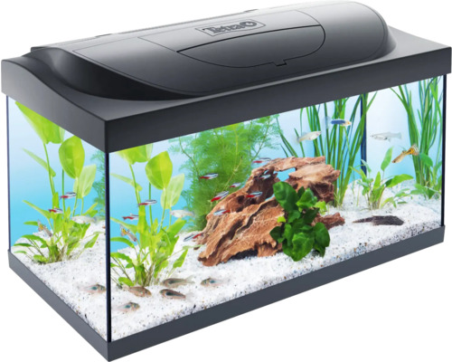 Aquarium Tetra Dein Aquarium Starter Line inkl. Abdeckung Beleuchtung Heizer/Heizstab Futter Wasseraufbereiter Rückwandfolie 61 x 36 x 32 cm