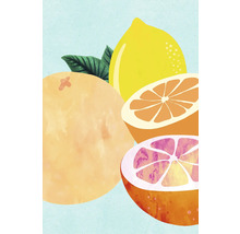 Illustration von Zitrone, Orange und Grapefruit