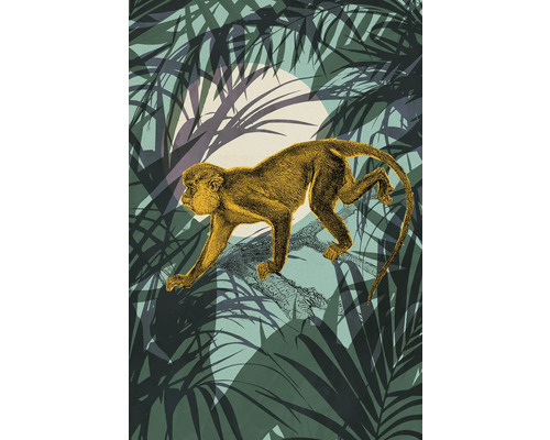 Leinwandbild Sneaky Monkey 40x60 cm