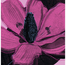 Leinwandbild Pink Fusion 60x60 cm