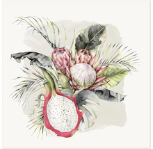 Aquarellbild mit Protea-Blüten, Drachenfrucht und tropischen Blättern