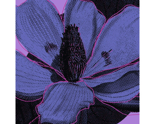 Leinwandbild Purple Fusion 60x60 cm