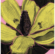 Grafik einer Blüte im Pop-Art-Stil