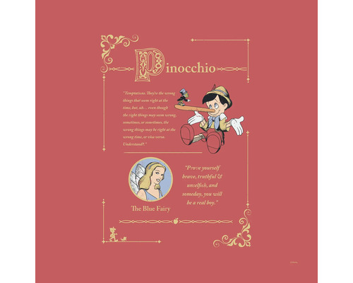 Leinwandbild Pinocchio Vice Versa 40x40 cm