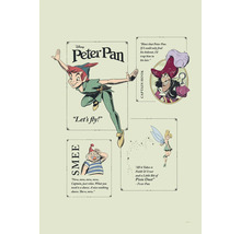 Peter Pan und weitere Disney Figuren