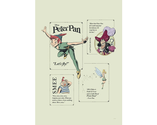 Leinwandbild Peter Pan Let´s Fly! 40x60 cm