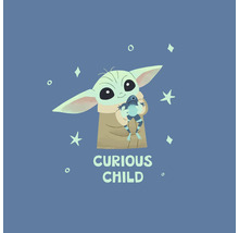 Illustration von Baby Yoda mit einem Frosch und dem Text Neugieriges Kind