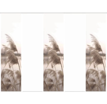 Dekorativer Schilfhalm als Zierelement