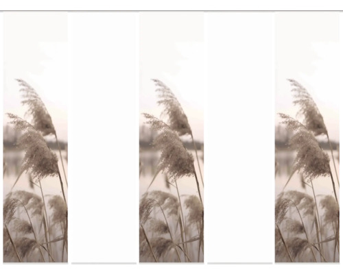 Dekorativer Schilfhalm als Zierelement