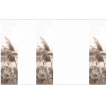 Dekoratives Schilfrohr Motiv für Sichtschutzstreifen