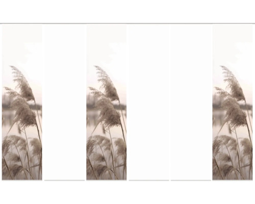 Dekoratives Schilfrohr Motiv für Sichtschutzstreifen