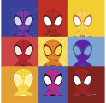Mehrfarbiges Spiderman-Comic-Design