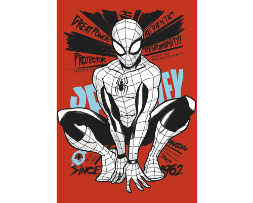 Leinwandbild Spider-Man Protector of NYC 40x60 cm