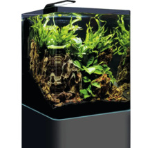 Aquarium DENNERLE Nano Cube Complete, 30 L, LED Beleuchtung Chihiros C 251 inkl. Innenfilter, Abdeckscheibe, Sicherheitsunterlage, Scaper‘s Back Rückwandfolie, Einsteigerbroschüre , Nährboden, Kies und Thermometer-thumb-1 Aquarium DENNERLE Nano Cube Complete, 30 L, LED Beleuchtung Chihiros C 251 inkl. Innenfilter, Abdeckscheibe, Sicherheitsunterlage, Scaper‘s Back Rückwandfolie, Einsteigerbroschüre , Nährboden, Kies und Thermometer-thumb-1