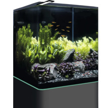 Aquarium DENNERLE Nano Cube Complete, 60 L , LED Beleuchtung Chihiros C 361 inkl. Innenfilter, Abdeckscheibe, Sicherheitsunterlage, Scaper‘s Back Rückwandfolie, Einsteigerbroschüre , Nährboden, Kies und Thermometer-thumb-1