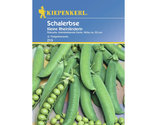 Schalerbse Kleine Rheinländerin Kiepenkerl Samenfestes Saatgut Gemüsesamen
