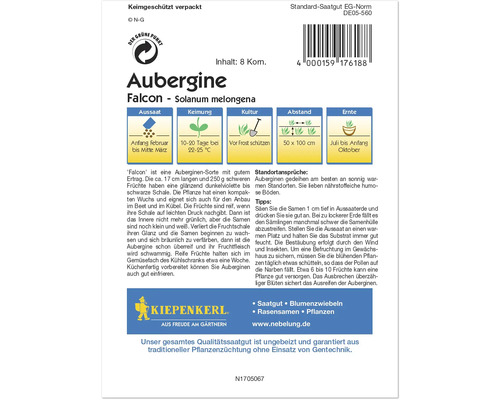 Auberginensamen der Sorte Falcon von Kiepenkerl