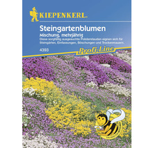 Kiepenkerl Steingartenblumen mehrjährige Mischung für Steingärten, Einfassungen, Böschungen und Trockenmauern
