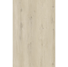 Vinylboden SPC Pitt Landhausdiele Klickverbindung 1220 x 180 x 6,0 mm