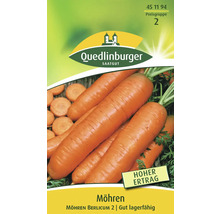 Möhren Berlicum 2 Saatgutpackung von Quedlinburger