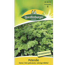 Quedlinburger Petersiliensamenpackung Orfeo mit fein gekrausten Blättern