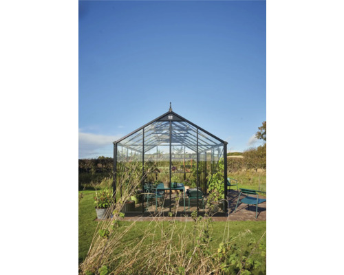 Gewächshaus mit Glaswänden und schwarzem Rahmen im Garten.