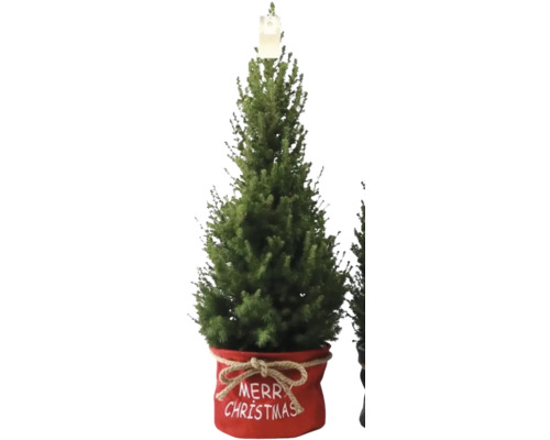 Künstlicher Weihnachtsbaum im Topf mit der Aufschrift ''Frohe Weihnachten''