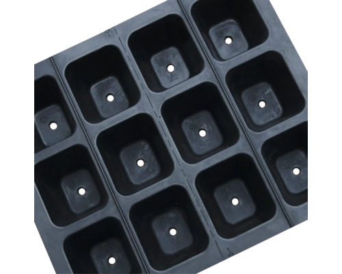 Anzuchtplatte mit mehreren Fächern und Löchern für die Aufzucht von Pflanzen