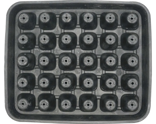 Anzuchtschale mit 30 Vertiefungen für die Aufzucht von Pflanzen