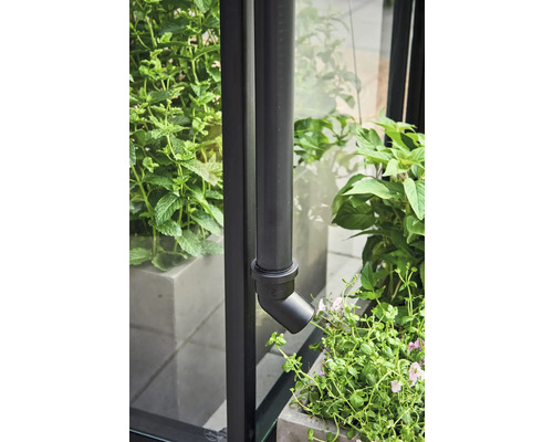 Detailansicht eines Regenrohrs an einem Gebäude, umgeben von Grünpflanzen in Töpfen.