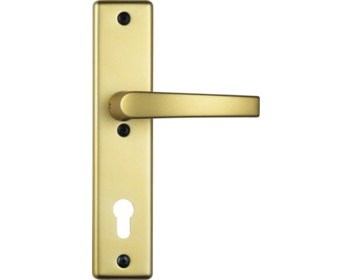 Türklinke mit Schlüsselrosette