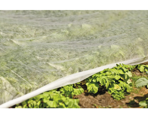 Garten mit Pflanzen unter einem Pflanzenschutzvlies
