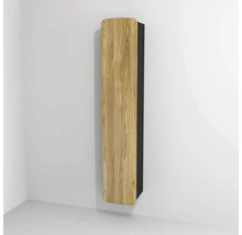 Hängehochschrank mit 1 Tür Devo Oval links BxHxT 34x165x33 cm diamantgrau/Eiche/schwarz