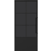 Schwarze Innentür mit Glaseinsätzen und Griff