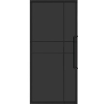 Schwarze Innentür mit Glaseinsatz und Griff